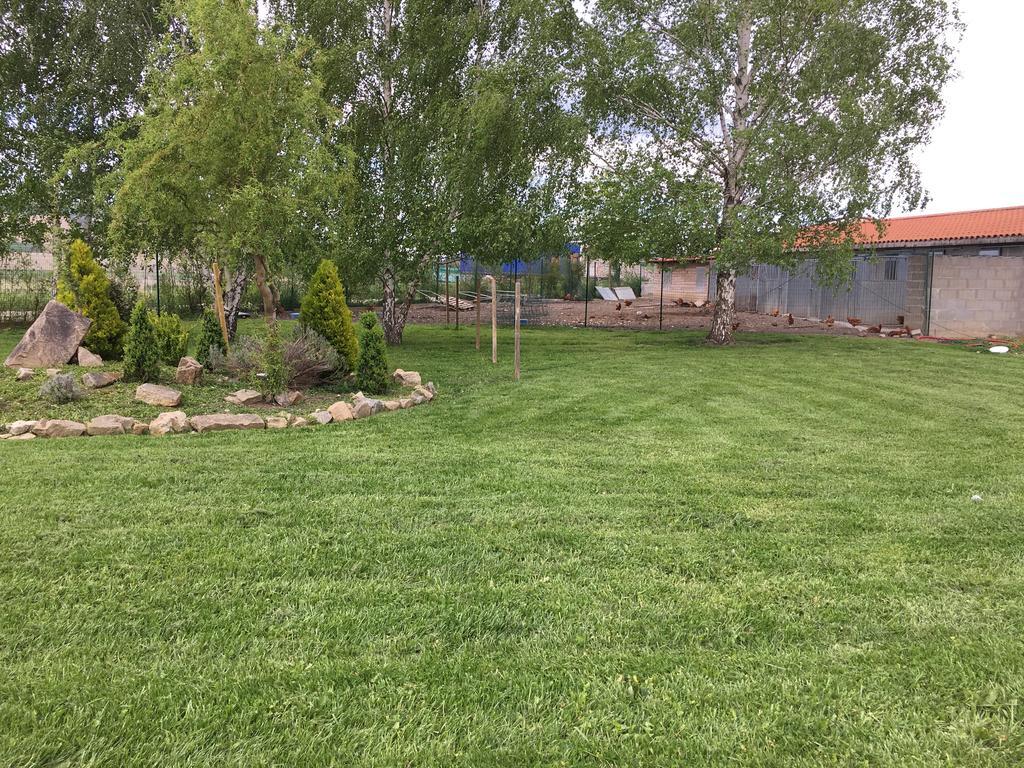 Chevrerie Des Oliviers Βίλα Saint-Georges-sur-Allier Εξωτερικό φωτογραφία